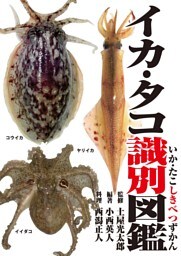 イカ・タコ識別図鑑
