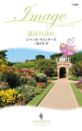 運命の訪れ　王宮への招待