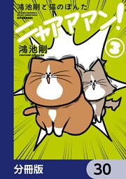 鴻池剛と猫のぽんた ニャアアアン！【分冊版】　30