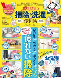 晋遊舎ムック 便利帖シリーズ060　疲れない掃除＆洗濯の便利帖