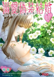 溺愛偽装結婚 -嘘からはじまる運命の恋- 13