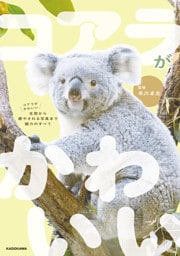 コアラがかわいい　生態から癒やされる写真まで魅力のすべて