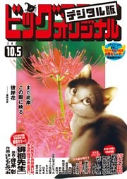 ビッグコミックオリジナル 2020年19号(2020年9月19日発売)