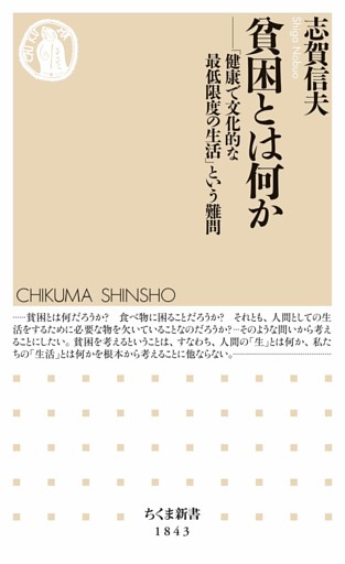 貧困とは何か　――「健康で文化的な最低限度の生活」という難問