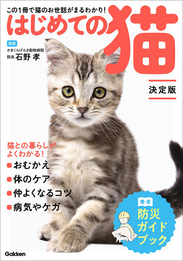 はじめての猫 決定版 この1冊で猫のお世話がまるわかり！