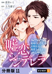 嘘恋シンデレラ～地味OLの私が次期社長に溺愛されるまで～ 【分冊版】 11