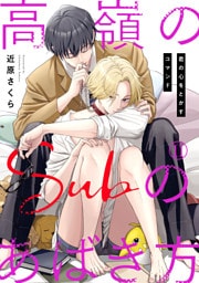 高嶺のSubのあばき方～君の心をとかすコマンド～11