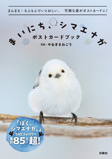まいにち、シマエナガ　ポストカードブック