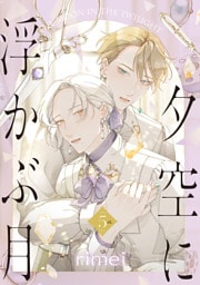 夕空に浮かぶ月　5ct.