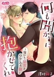 何も聞かずに抱かせてくれ ～強がり処女とワケあり狼～ 3