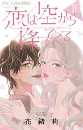 恋は空から降ってくる【マイクロ】（１６）