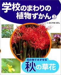 花の色でさがせる秋の草花３　学校のまわりの植物ずかん