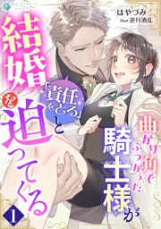 曲がり角でぶつかった騎士様が「責任をとる」と結婚を迫ってくる（１）