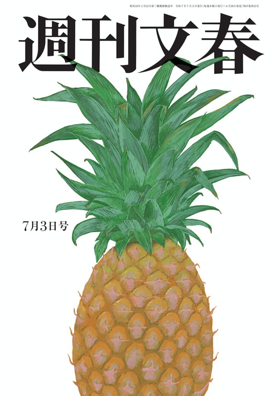 週刊雑誌　週刊文春　サンデー毎日　週刊大衆　懐かしい 週刊雑誌 週刊文春 サンデー毎日 週刊大衆 懐かしい
