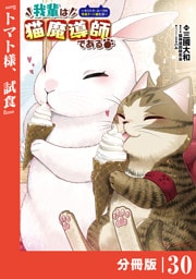 我輩は猫魔導師である～キジトラ・ルークの快適チート猫生活～【分冊版】（ポルカコミックス）３０