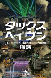 タックスヘイヴン　Tax Haven