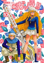 金色のガッシュ！！ 完全版（10）