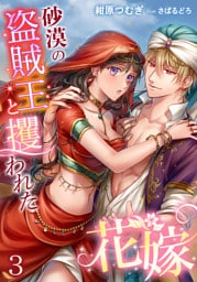 砂漠の盗賊王と攫われた花嫁 3話