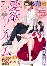 禁断ＬｏｖｅｒｓロマンチカＶｏｌ．０２６愛欲ワンルーム