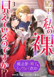 殿下っ…私の裸が見えているのですか！？ ～魔法使い殿下のイジワルな恋心～3