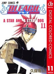 BLEACH カラー版 11