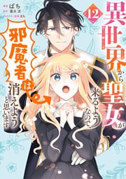 異世界から聖女が来るようなので、邪魔者は消えようと思います　12