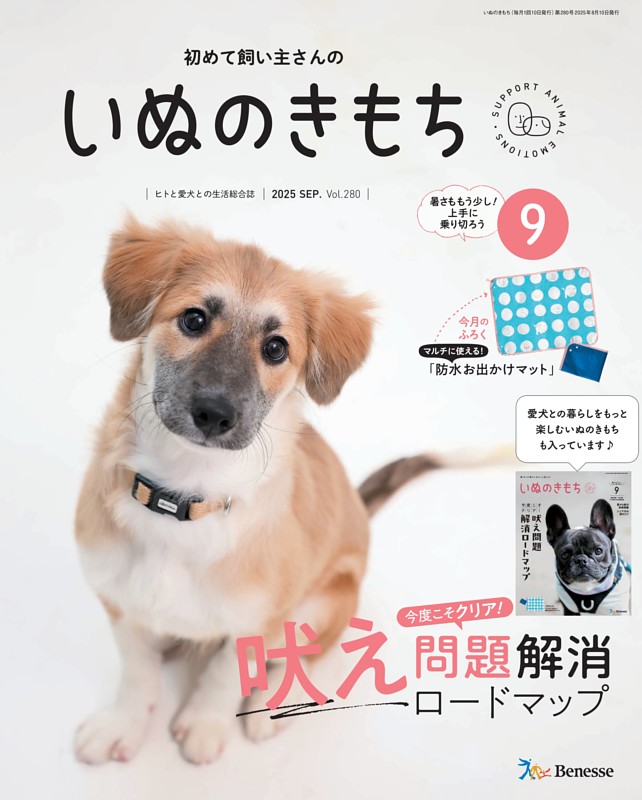 いぬのきもち 2023年　1年分　12冊セット　まとめ売り　付録付き いぬのきもち 2023年 1年分 12冊セット まとめ売り 付録付き