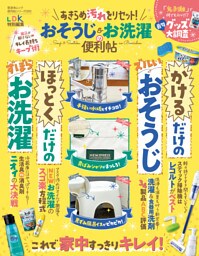 晋遊舎ムック 便利帖シリーズ085　あきらめ汚れをリセット！ おそうじ＆お洗濯の便利帖
