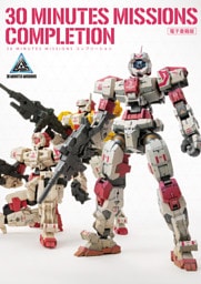 30 MINUTES MISSIONS コンプリーション