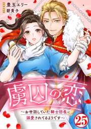虜囚の恋～お世話していた騎士団長に溺愛されてるようです～25