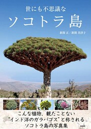 世にも不思議なソコトラ島