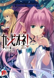 カンピオーネ！　XI　ふたつめの物語