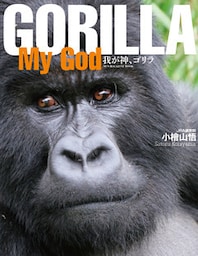 GORILLA My God