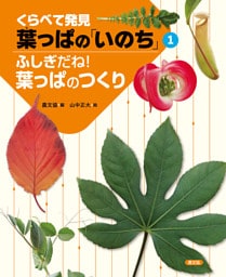 くらべて発見　葉っぱの「いのち」　ふしぎだね！葉っぱのつくり