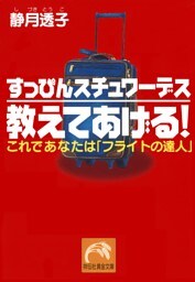すっぴんスチュワーデス 教えてあげる!