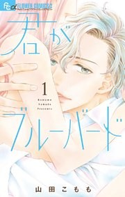 君がブルーバード