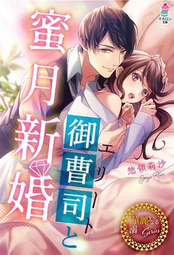 エリート御曹司と蜜月新婚【華麗なる溺愛シリーズ】
