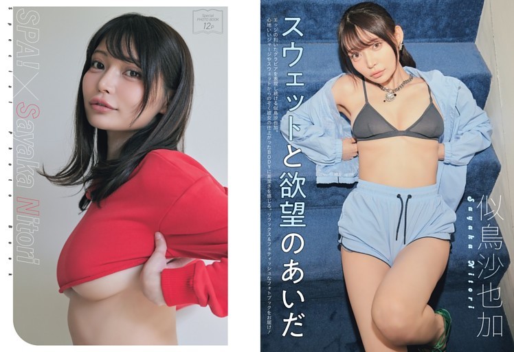 似鳥沙也加・欲望凝縮PHOTO BOOK ／フォトブック