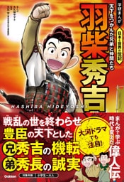 羽柴秀吉 天下をつかんだ兄弟と仲間たち