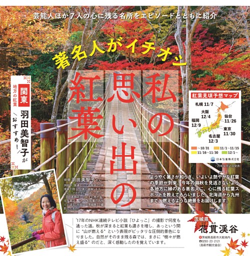 著名人7人がイチオシ 私の思い出の紅葉