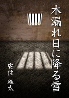 木漏れ日に降る雪