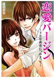 恋愛バージン～ドＳな義弟につかまって～