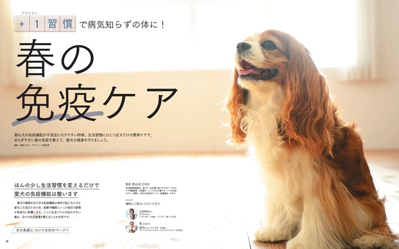 ＋1習慣で病気知らずの体に！