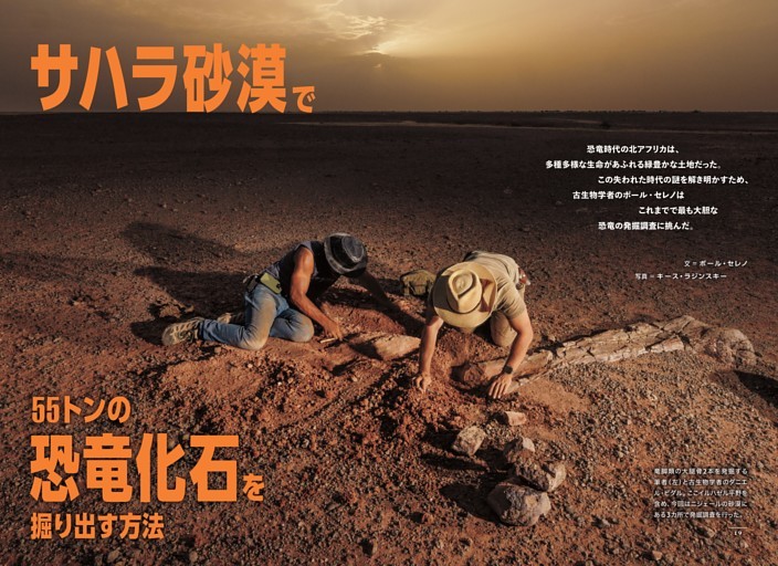サハラ砂漠で恐竜を掘り出す