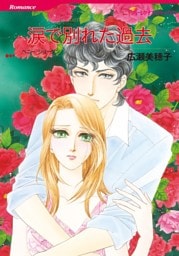涙で別れた過去【分冊】 5巻