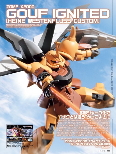 機動戦士ガンダムSEED DESTINY]ZGMF-X2000 グフイグナイテッド（ハイネ