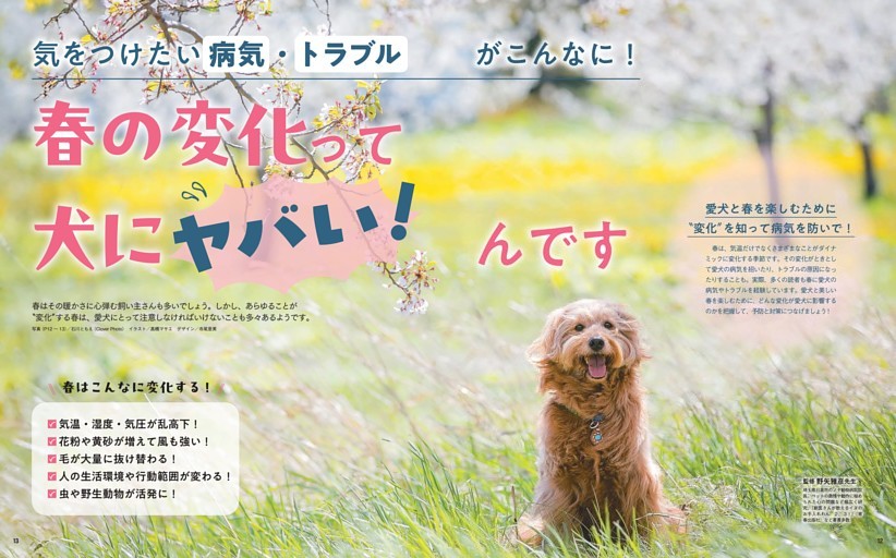 気をつけたい病気・トラブルがこんなに！　春の変化って犬にヤバい！んです