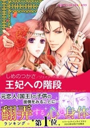 王妃への階段〈熱きシークたち Ⅰ〉