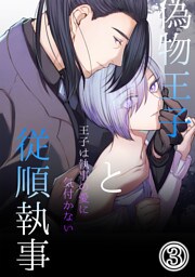 偽物王子と従順執事-王子は執事の愛に気付かない-3