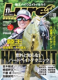 Lure magazine 2026年11月号